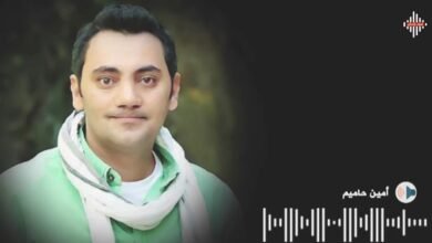 صورة امين حاميم.. قصة نجاح.