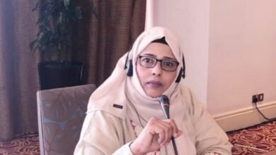 صورة حزبيات في بناء السلام