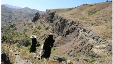 صورة ليست مجرد مسافة