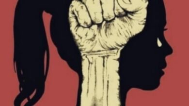 صورة برديس.. قصة ضوء في آخر النفق